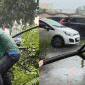 Dân mạng khen hết lời nam tài xế dầm mưa chặt cành cây đổ chắn ngang, giải phóng tắc đường cục bộ
