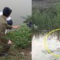 Đi cắt cỏ, người dân hoảng hốt khi thấy 2 thi thể phân hủy dưới mương nước ở Nghệ An