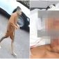 ‘Cái kết đắng’ cho thanh niên dùng dao tấn công chú ruột trọng thương ở Thanh Hóa vì lý do khó chấp nhận