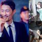 Johnny Trí Nguyễn lên tiếng vụ cô gái MMA hạ gục gã thanh niên xăm trổ: Tặng luôn học bổng võ thuật 