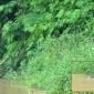 Sau bão số 5, phát hiện 2 thi thể trong hồ thủy điện tại Nghệ An: 1 nữ giới, 1 người chưa rõ danh tính