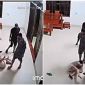 Clip 3 người đàn ông bịt khẩu trang xông vào nhà đánh dã man 1 người phụ nữ ở Phú Thọ, van xin vẫn không được tha