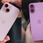 iPhone 15, iPhone 16 giá lao dốc không phanh, trang bị vẫn ngon chẳng kém iPhone 17, dư dùng lâu dài