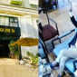 Tình hình kinh doanh hiện tại của quán cà phê Hà Nội sau vụ ‘tổng tài’: Chiếc ghế đặc biệt giới trẻ tranh nhau check-in
