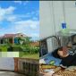 Sau sự cố 40 học sinh nhập viện nghi ngộ độc: Loạt giáo viên ký đơn tố cáo nữ phó hiệu trưởng