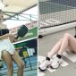 Tranh cãi quanh vụ hot girl 'vén váy' chơi pickleball, dàn người đẹp đưa ra quan điểm bất ngờ