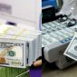 Tỷ giá USD hôm nay 7/10: Biến động trái chiều, đồng bạc xanh phục hồi trên thị trường quốc tế