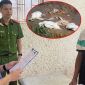 Khởi tố, bắt tạm giam người đàn ông đâm hàng xóm vì nghi ngờ đầu độc 3 con vịt, đối diện án phạt nghiêm khắc