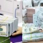Tỷ giá USD hôm nay 10/10: Đồng USD tăng giá trên thị trường tự do, tại ngân hàng diễn biến trái chiều