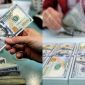 Tỷ giá USD hôm nay 20/10: Khi thị trường tự do trở thành tâm điểm chú ý, ngân hàng vẫn 'lặng sóng'