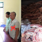 Phát hiện gần 38 tấn thịt lợn nhiễm dịch tả sắp bán ra thị trường: Bắt giữ chủ cơ sở tại Phú Thọ, xử lý ra sao?