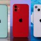 Liên tục giảm khủng, iPhone 13, iPhone 12, iPhone 11 đáng mua nhất trong tầm giá 8 -10 triệu