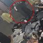 Camera hé lộ chiêu thức trộm đồ khó ngờ của người phụ nữ khiến chủ sạp quần áo ở Hải Phòng nghi ngờ