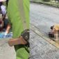 Đà Nẵng: Camera ghi lại cảnh tượng ám ảnh người phụ nữ bị đâm dã man giữa đường, nguồn cơn từ đâu?
