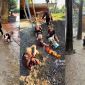 Chính quyền quyết định ‘nóng’ sau nghi vấn chùa Cẩm La: Bàn giao trẻ về trung tâm trợ giúp xã hội