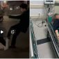 Xôn xao clip nam thanh niên bị hành hung ở công viên Võ Thị Sáu khi đang đi bộ, phải nhập viện cấp cứu