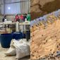 Cận cảnh ‘công xưởng’ chế biến lòng lợn bốc mùi, ruồi nhặng bâu kín ở Bắc Ninh