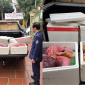 Ninh Bình: Bắt quả tang 100kg nội tạng lợn trôi nổi suýt tuồn ra thị trường dịp cận Tết