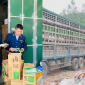 Nghệ An: Siết chặt quản lý, không để thực phẩm bẩn ‘lọt cửa’ dịp cận Tết
