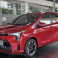 Giá xe Kia mới nhất tháng 2/2026: Morning 349 triệu, Soluto khởi điểm từ 386 triệu đồng