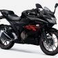 Đè bẹp Yamaha Exciter, Suzuki ra mắt ‘vua côn tay’ 250cc mới 'chất' hơn Winner R, giá 76 triệu đồng