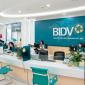 BIDV thu về hơn 10.000 tỷ đồng: Hơn 258 triệu cổ phiếu riêng lẻ được các ‘ông lớn’ săn mua