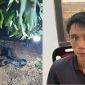 Bất ngờ nơi gã thanh niên lẩn trốn sau khi sát hại cụ bà rồi chôn xác trong vườn chuối, đã có kết quả test ma túy