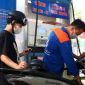 Tin xăng dầu 8/4: Giá xăng trong nước chiều nay 'rơi tự do', Honda SH, Vision đổ đầy bình bao nhiêu?