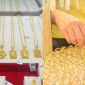 Giá vàng tuần này khép lại với cú lỗ 2,5 triệu/lượng, chênh lệch vàng SJC và thế giới tiếp tục nới rộng