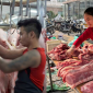 Giá heo hơi hôm nay 1/5: Chợ đầu mối quay đầu giảm, thị trường trầm lặng trong nghỉ lễ