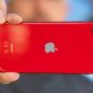 iPhone SE 2 rẻ ngang chục lần đổ xăng đầy bình, mạnh ngang iPhone 17e về nhiếp ảnh