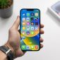 iPhone màn hình lớn, giá giờ đã cực rẻ: Lựa chọn hiếu thảo, đọc rõ, dùng bền cho ông bà, bố mẹ