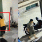 Gã đàn ông lao vào tát liên tiếp, hành hung người phụ nữ lớn tuổi vì 1 câu nói: Có bị xử lý hình sự?