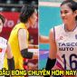 Lịch thi đấu bóng chuyền hôm nay 7/5 - Lịch phát sóng trực tiếp bóng chuyền Cúp VTV9 Bình Điền 2026