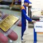 Cập nhật giá xăng dầu, giá vàng hôm nay: Dầu diesel giảm còn hơn 27 nghìn, vàng miếng SJC diễn biến lạ