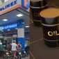 Giá xăng dầu hôm nay 14/5: Dầu thế giới vượt 60% so cùng kỳ năm trước, RON95, RON92, dầu diesel chiều nay có giá mới 