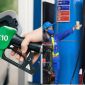 Xăng E10 lên kệ từ 1/6, Petrolimex và PVOIL công bố giá mới, RON95 bắt đầu đổi thị phần toàn quốc ngay