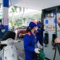 Bảng giá xăng dầu sáng nay 17/5: E10 RON95-V giá bao nhiêu? Có nên đổ không? Giá đầy bình xe Piaggio