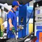 Giá xăng dầu chiều 19/5: Xăng RON 95 ‘bán như biếu’, dầu diesel ‘trượt dài’ gần 18.000 đồng/lít, giá lăn bánh Honda City