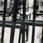 Xác định nghi phạm thảm án Tây Ninh khiến 3 người trong gia đình tử vong, nhân chứng kể lại dấu hiệu lạ