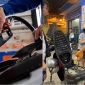 Giá xăng dầu hôm nay 25/5: Dầu Diesel, xăng RON95 sắp giảm cực sâu? Bảng giá Petrolimex, PVOIL, Mipec