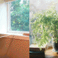 Bật quạt mức mạnh nhất vẫn thấy bí bách, bật mí vị trí đặt quạt giúp giảm cảm giác nóng bức rõ rệt