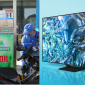 Tại sao không bán song song xăng E10 và RON 95, bảng giá TV Samsung 55 inch?