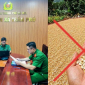 Danh tính người đăng ảnh nắng nóng thóc ‘nổ thành bỏng’, bị xử lý như thế nào?