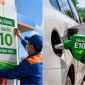 Giá xăng dầu hôm nay 4/6: Xăng E10 hôm nay giảm sâu 'rẻ như cho'? Bảng giá Petrolimex, PVOIL, Mipec