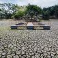 El Nino trở lại sau thời gian chuyển pha, dự báo cuối năm xuất hiện kịch bản ít người mong đợi