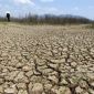 El Nino chính thức quay lại, xác suất 63% thành siêu El Nino, đối mặt  nhiều biến động khí hậu