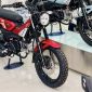 Bảng giá xe Yamaha PG-1 giữa tháng 6/2026: Giảm kỷ lục, hút khách hơn Honda Future và RSX vì có ABS