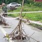 Quốc lộ 3B qua Thái Nguyên xuất hiện điểm sụt lún mới, kết quả kiểm tra hiện trường?