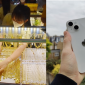 Giá vàng hôm nay 21/6: Bật tăng bất ngờ, người mua vàng tuần trước lỗ nặng, iPhone 14 giá bao nhiêu?